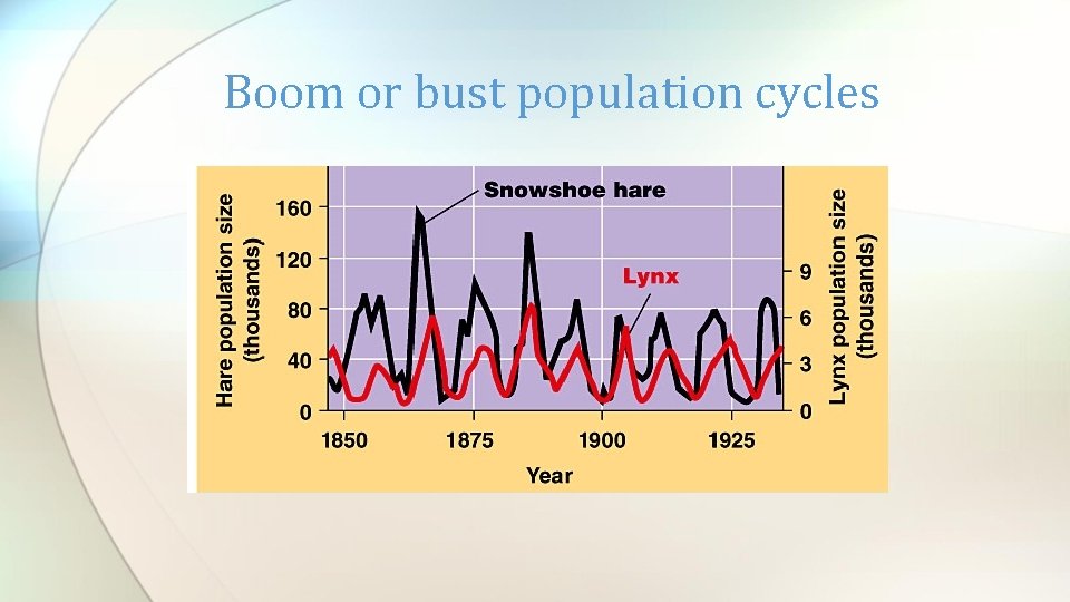 Boom or bust population cycles 
