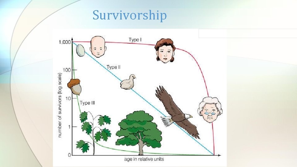 Survivorship 
