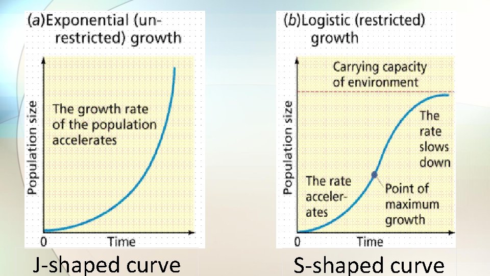 J-shaped curve S-shaped curve 