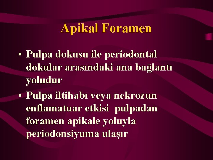 Apikal Foramen • Pulpa dokusu ile periodontal dokular arasındaki ana bağlantı yoludur • Pulpa