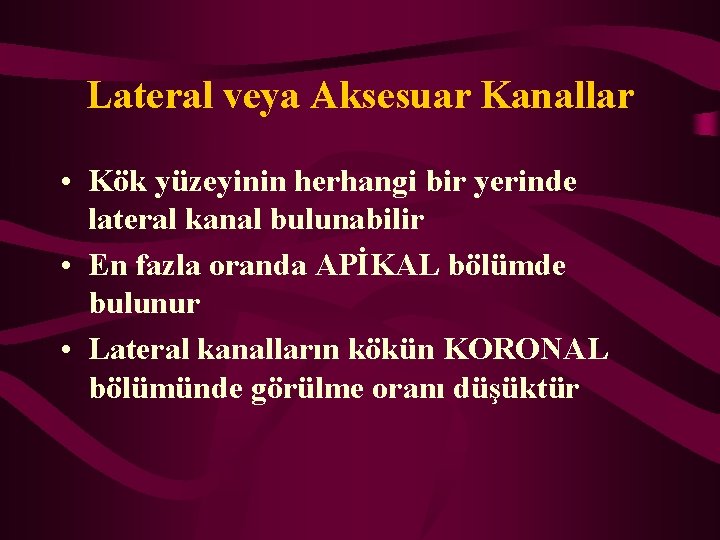 Lateral veya Aksesuar Kanallar • Kök yüzeyinin herhangi bir yerinde lateral kanal bulunabilir •