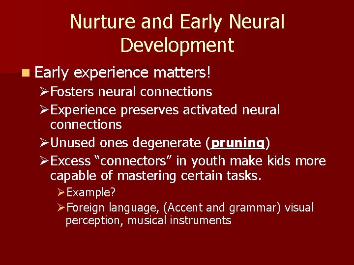 Nurture and Early Neural Development n Early experience matters! ØFosters neural connections ØExperience preserves