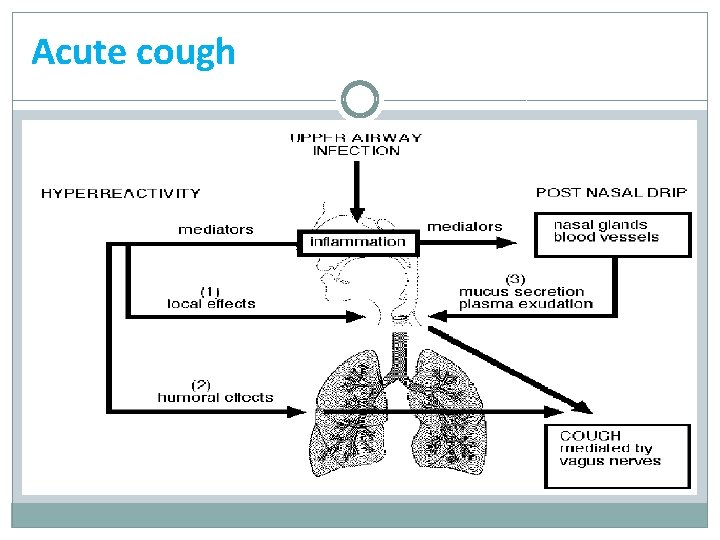 Acute cough 