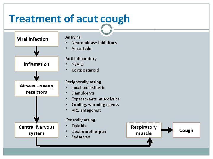 Treatment of acut cough Viral infection Inflamation Airway sensory receptors Central Nervous system Antiviral