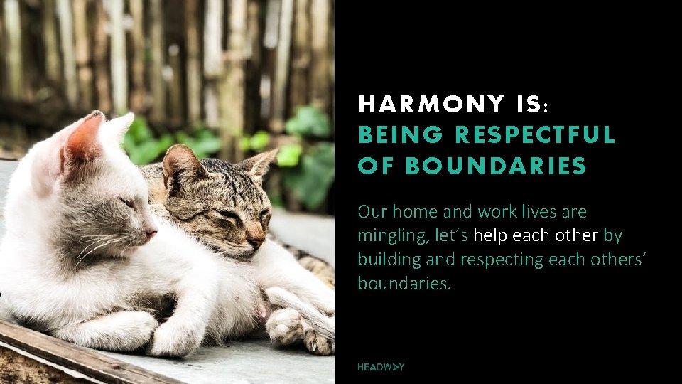 HARMONY IS: BEING RESPECTFUL OF BOUNDARIES Our home and work lives are mingling, let’s