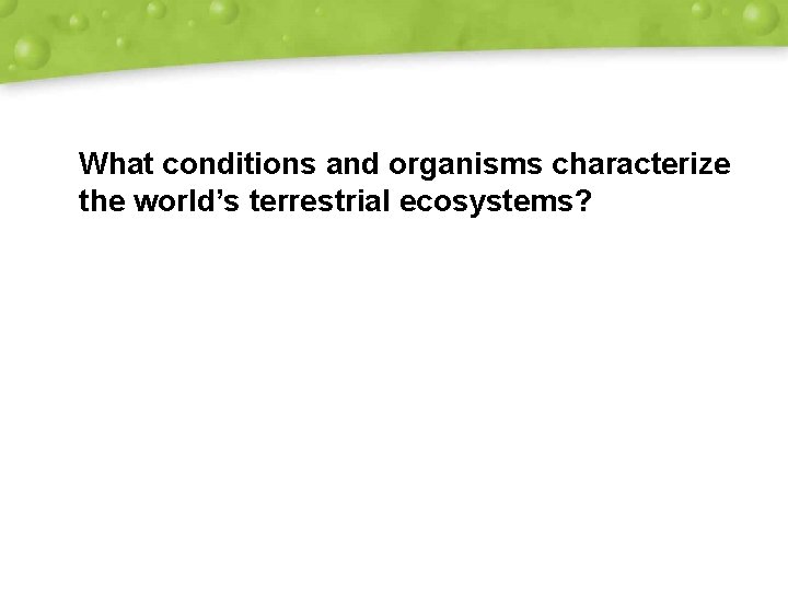 What conditions and organisms characterize the world’s terrestrial ecosystems? 