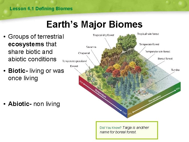 Lesson 6. 1 Defining Biomes Earth’s Major Biomes • Groups of terrestrial ecosystems that