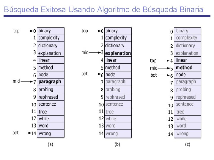 Búsqueda Exitosa Usando Algoritmo de Búsqueda Binaria 