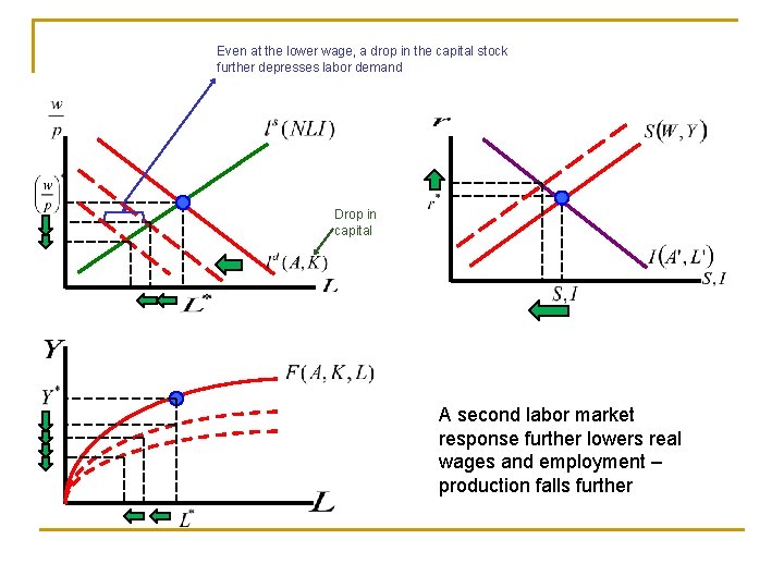 Even at the lower wage, a drop in the capital stock further depresses labor