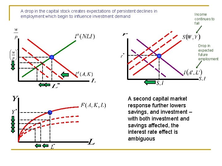 A drop in the capital stock creates expectations of persistent declines in employment which