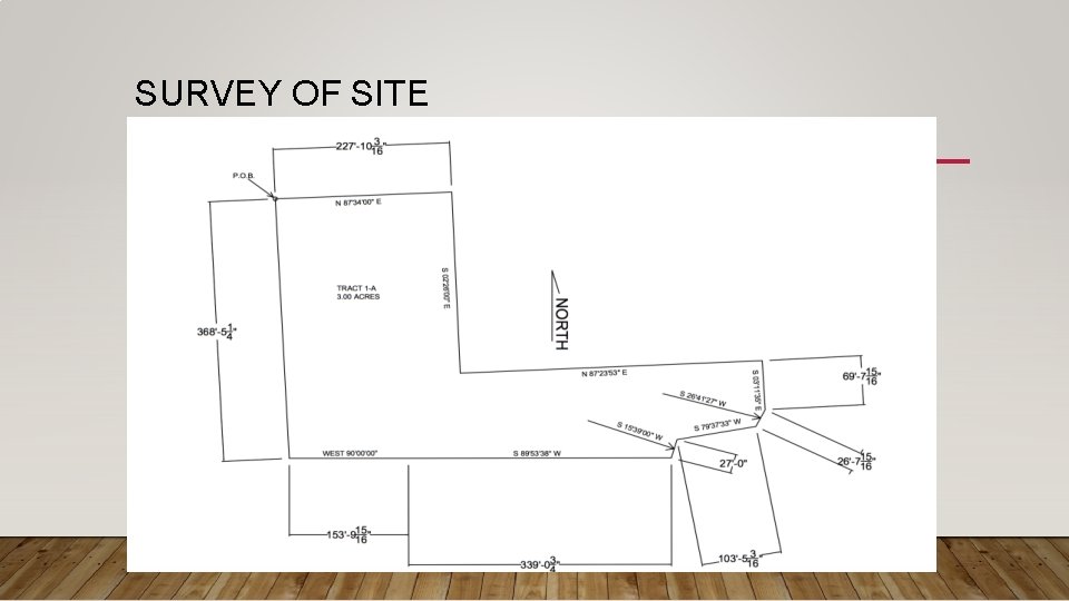 SURVEY OF SITE 