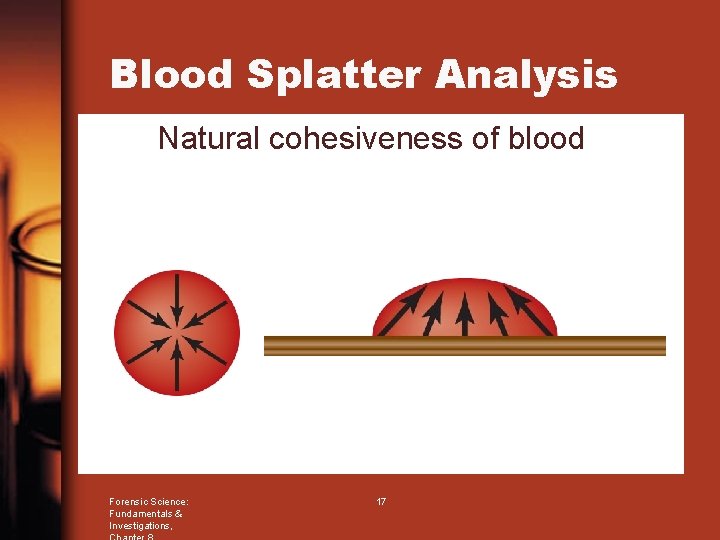 Blood Splatter Analysis Natural cohesiveness of blood Forensic Science: Fundamentals & Investigations, 17 