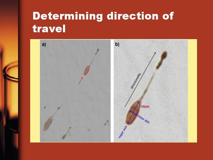 Determining direction of travel 