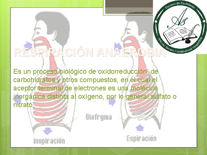 RESPIRACIÓN ANAEROBIA Es un proceso biológico de oxidorreducción de carbohidratos y otros compuestos, en