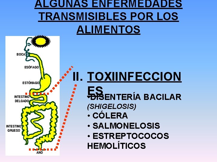 ALGUNAS ENFERMEDADES TRANSMISIBLES POR LOS ALIMENTOS II. TOXIINFECCION ES • DISENTERÍA BACILAR (SHIGELOSIS) 20