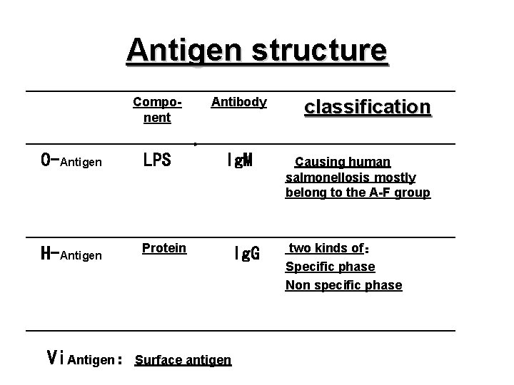 Antigen structure Component Antibody O-Antigen LPS Ig. M H-Antigen Protein Vi. Antigen：Surface antigen Ig.