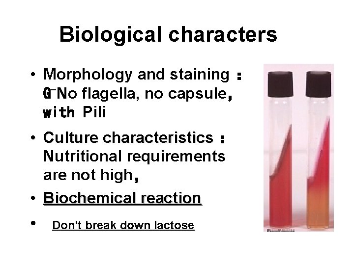 Biological characters • Morphology and staining ： G-No flagella, no capsule， with Pili •