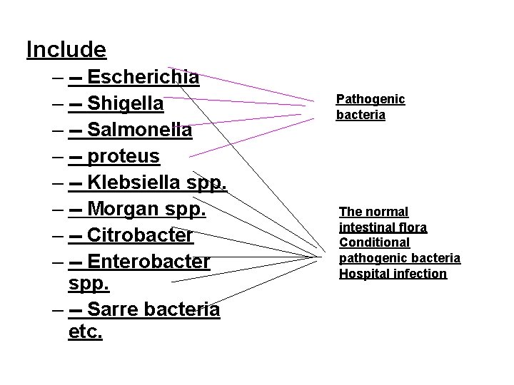 Include – -- Escherichia – -- Shigella – -- Salmonella – -- proteus –