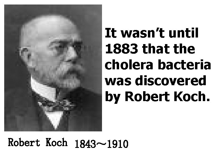 It wasn’t until 1883 that the cholera bacteria was discovered by Robert Koch 1843～