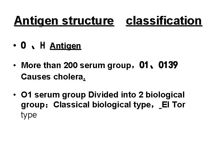 Antigen structure classification • O 、H Antigen • More than 200 serum group，O 1、O