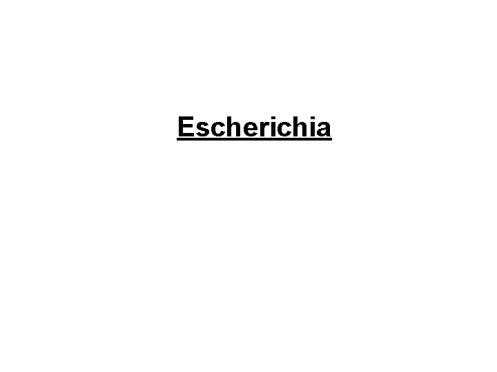 Escherichia 