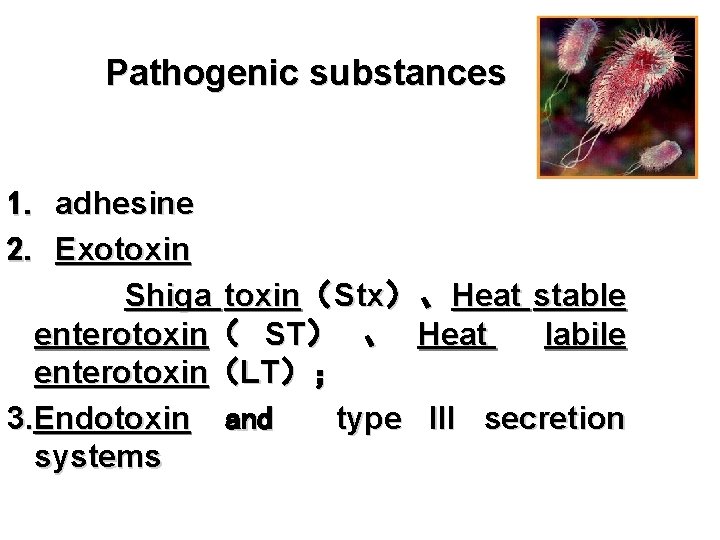 Pathogenic substances 1. adhesine 2. Exotoxin Shiga toxin（ Stx） 、 Heat stable enterotoxin（ ST）
