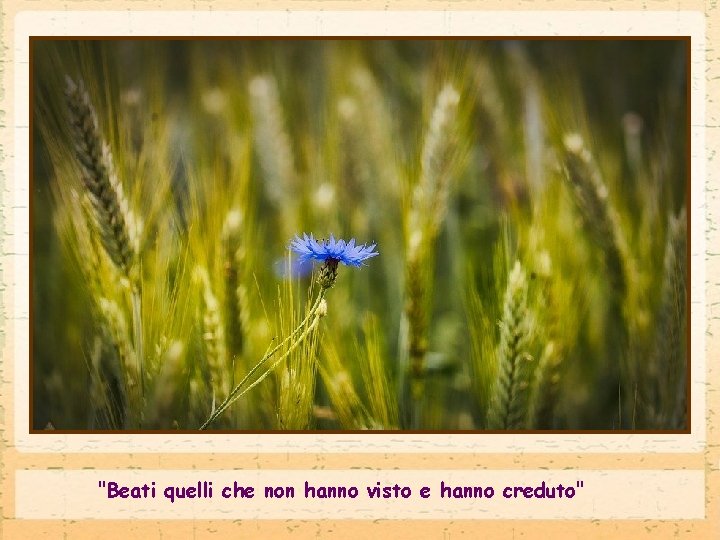 "Beati quelli che non hanno visto e hanno creduto" 