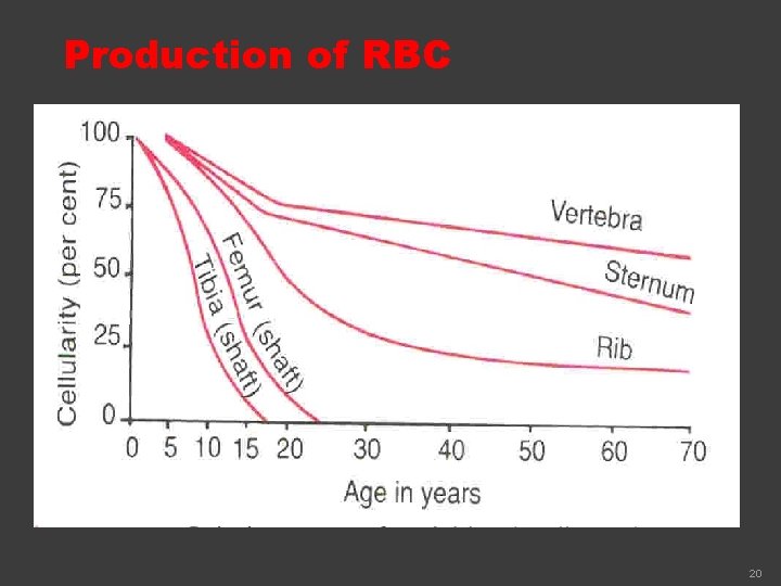 Production of RBC 20 