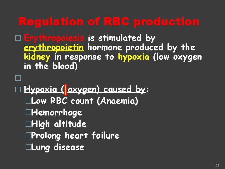 Regulation of RBC production � Erythropoiesis is stimulated by erythropoietin hormone produced by the