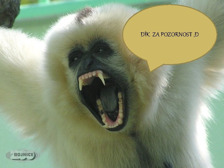 DÍK ZA POZORNOST ; D 