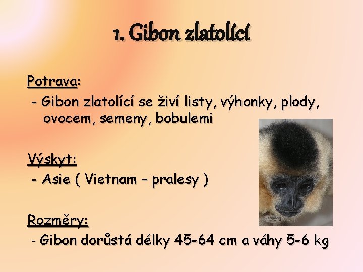 1. Gibon zlatolící Potrava: - Gibon zlatolící se živí listy, výhonky, plody, ovocem, semeny,