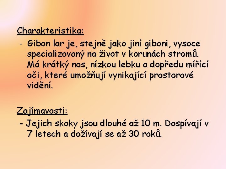 Charakteristika: - Gibon lar je, stejně jako jiní giboni, vysoce specializovaný na život v