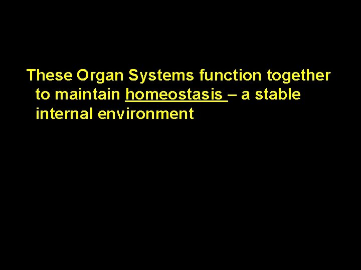 These Organ Systems function together to maintain homeostasis – a stable internal environment 