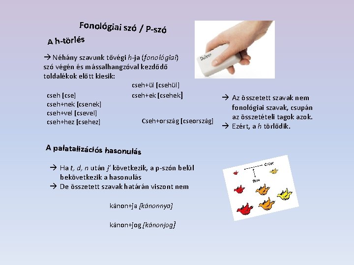 Fonológiai szó / P-szó A h-törlés Néhány szavunk tővégi h-ja (fonológiai) szó végén és