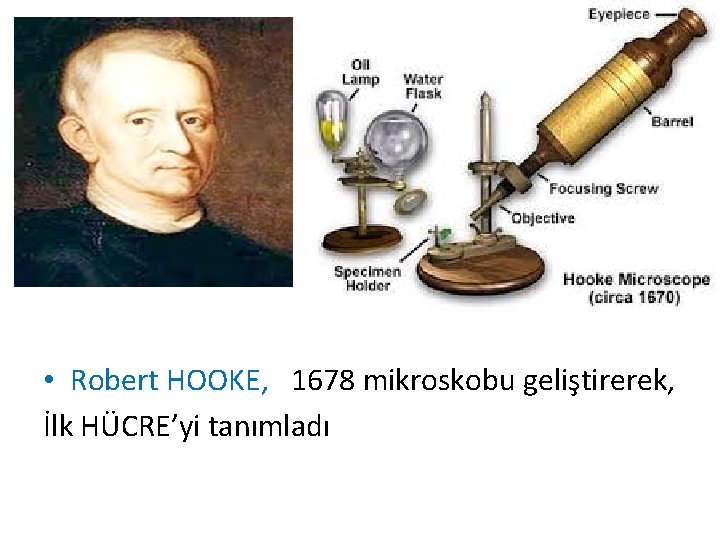  • Robert HOOKE, 1678 mikroskobu geliştirerek, İlk HÜCRE’yi tanımladı 