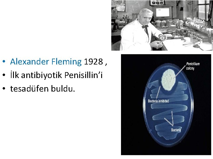  • Alexander Fleming 1928 , • İlk antibiyotik Penisillin’i • tesadüfen buldu. 