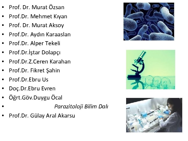 • • • • Prof. Dr. Murat Özsan Prof. Dr. Mehmet Kıyan Prof.