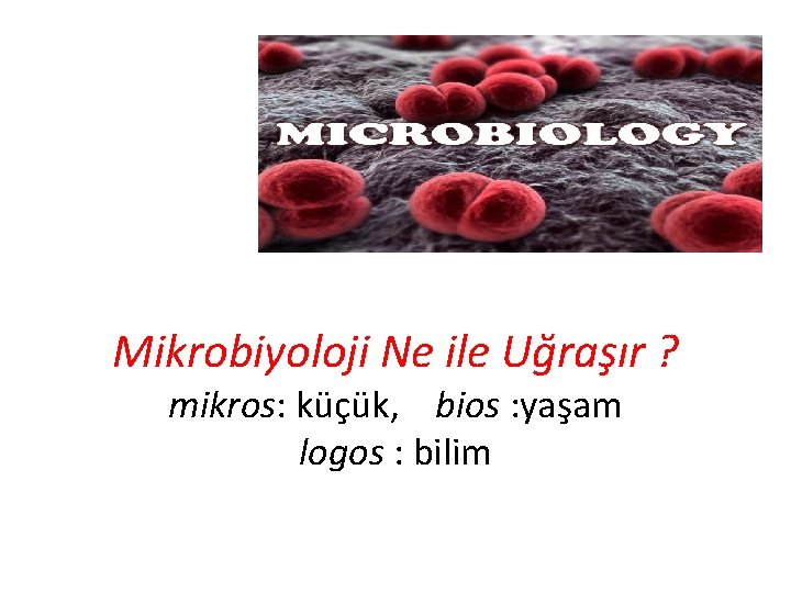 Mikrobiyoloji Ne ile Uğraşır ? mikros: küçük, bios : yaşam logos : bilim 