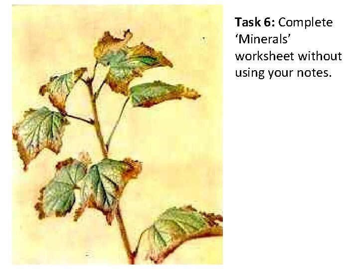 Task 6: Complete ‘Minerals’ worksheet without using your notes. 