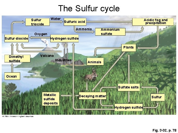 The Sulfur cycle Sulfur trioxide Water Acidic fog and precipitation Sulfuric acid Ammonia Oxygen