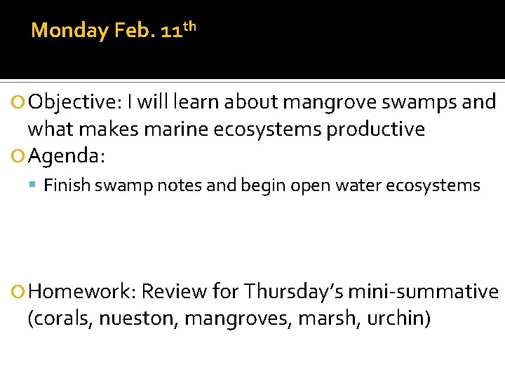 Monday Feb. 11 th Objective: I will learn about mangrove swamps and what makes