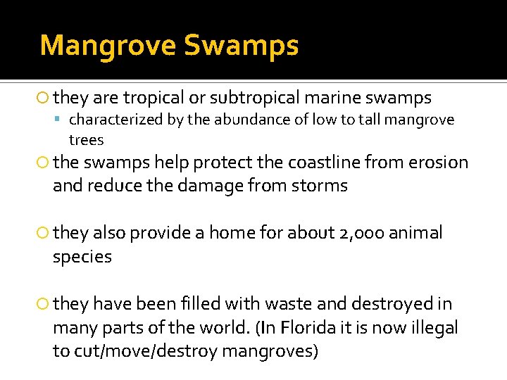 Mangrove Swamps they are tropical or subtropical marine swamps characterized by the abundance of