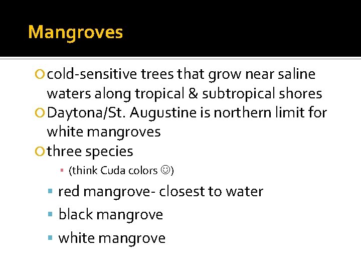 Mangroves cold-sensitive trees that grow near saline waters along tropical & subtropical shores Daytona/St.