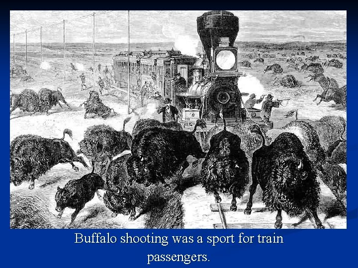 Buffalo shooting was a sport for train passengers. 