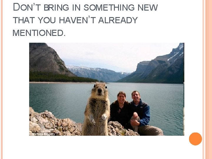 DON’T BRING IN SOMETHING NEW THAT YOU HAVEN’T ALREADY MENTIONED. 