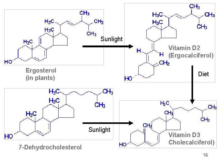 Sunlight Vitamin D 2 (Ergocalciferol) Ergosterol (in plants) Diet Sunlight 7 -Dehydrocholesterol Vitamin D
