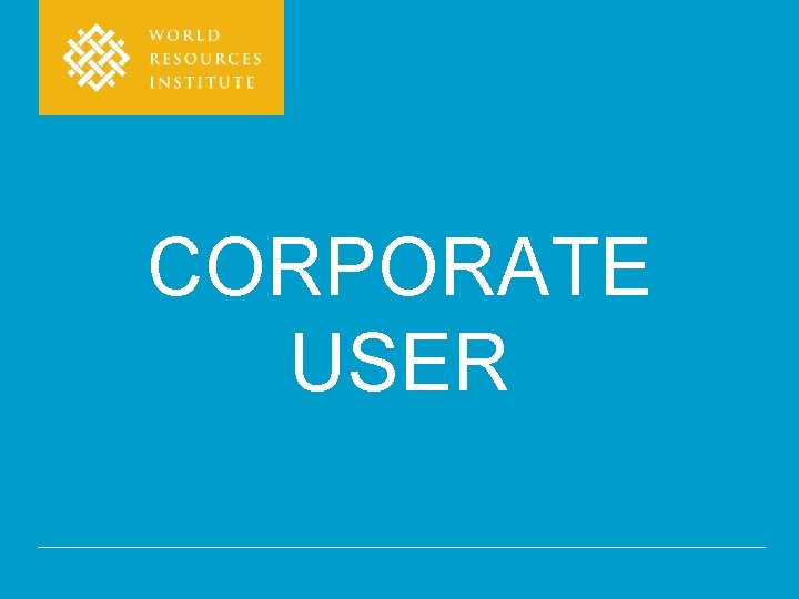 CORPORATE USER 