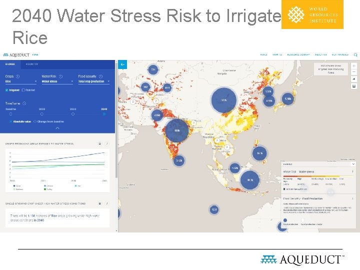 2040 Water Stress Risk to Irrigated Rice & Total Production across Asia Geospatially explicit