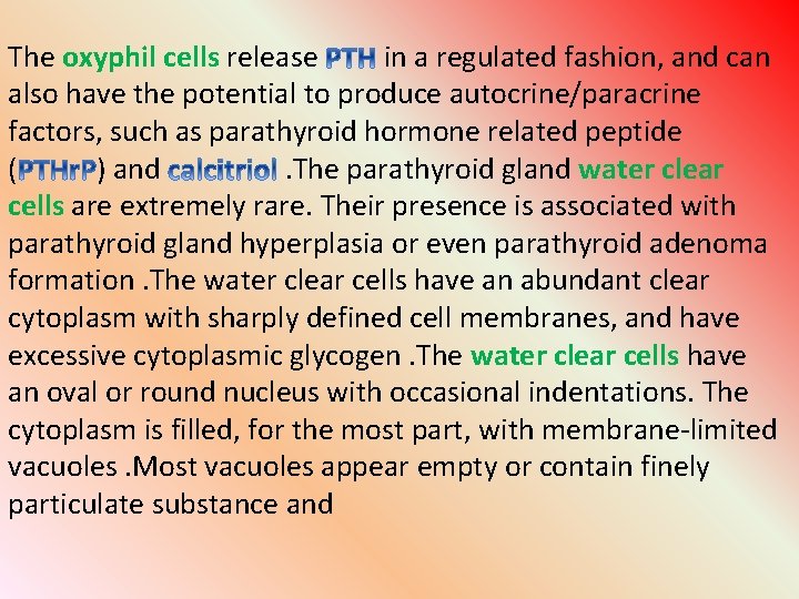 The oxyphil cells release in a regulated fashion, and can also have the potential