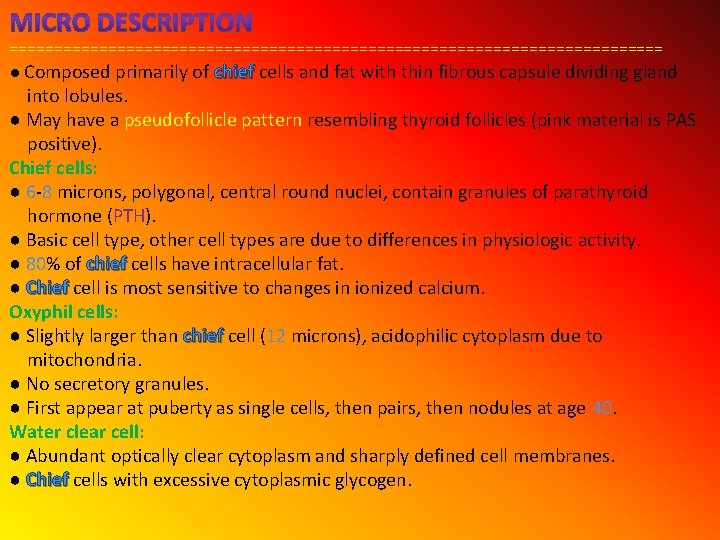 ===================================== ● Composed primarily of chief cells and fat with thin fibrous capsule dividing